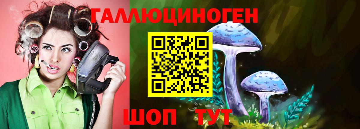 Воткинск  Галлюциногенные грибы GOLDEN TEACHER  Вход с VPN 
