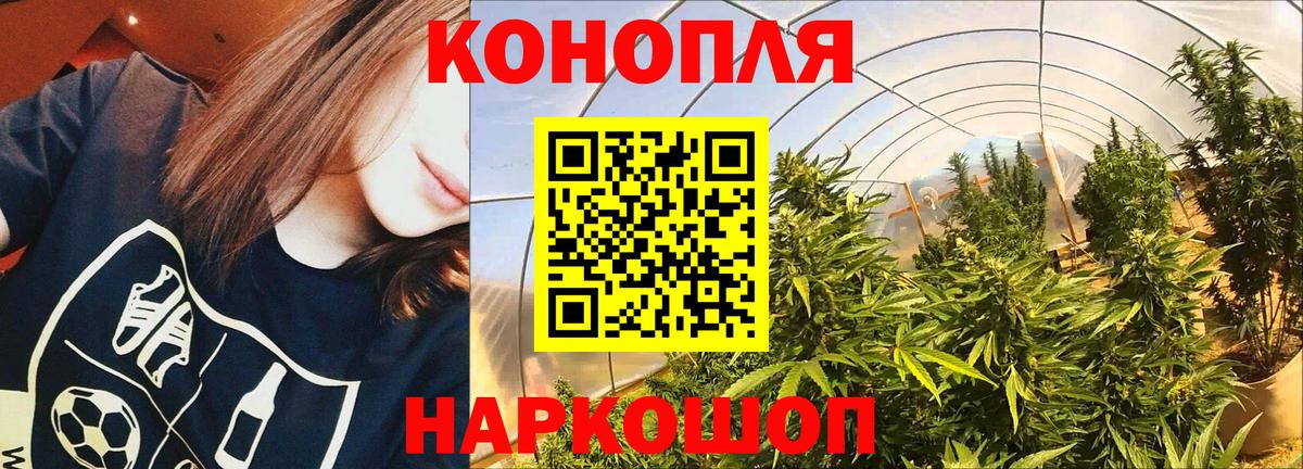 Бошки марихуана семена  Марихуана THC 21%  Воткинск  Марихуана сатива  Канабис конопля  Вход с VPN 